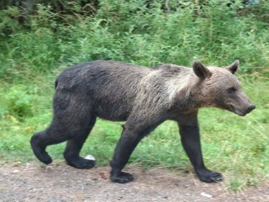 Kép3.jpg