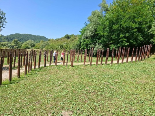 Kép12.jpg